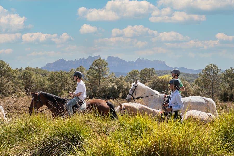 toursbyuni-montserrat_hike-horse-02