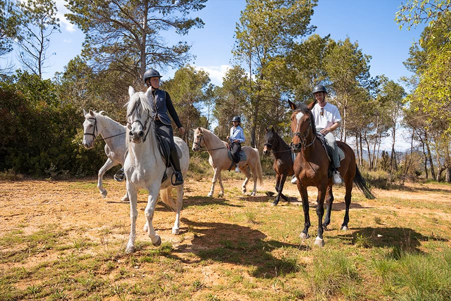 toursbyuni-montserrat_hike-horse-08